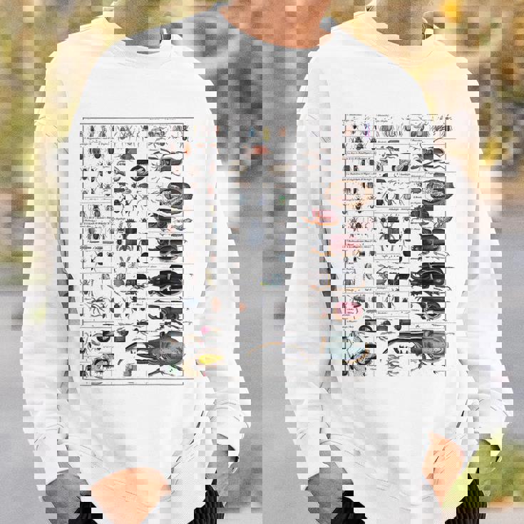 昆虫コレクション種ヴィンテージバグチャート昆虫学 スウェットシャツ 彼への贈り物