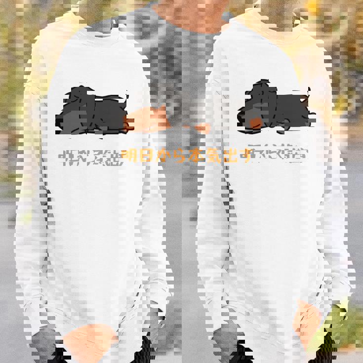 犬 おもしろ 明日から本気出す 可愛い ダックスフンド ミニチュアダックスフンド 長袖tシャツ スウェットシャツ 彼への贈り物