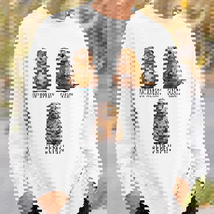 異なるタイプのビーバーズ品種コレクション、かわいいビーバーが大好き。 長袖tシャツ スウェットシャツ 彼への贈り物