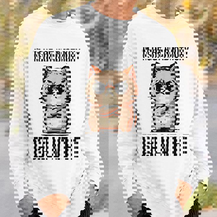 私は短気で口うるさいので、それを扱います。態度猫 スウェットシャツ 彼への贈り物