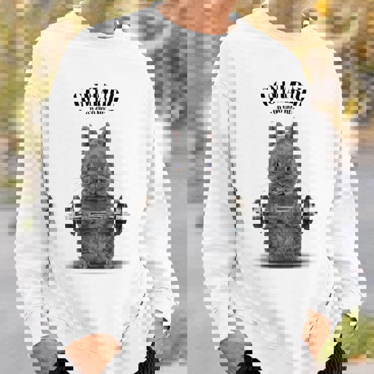 筋トレ ネザーランドドワーフ ウサギ ブルー スウェットシャツ 彼への贈り物