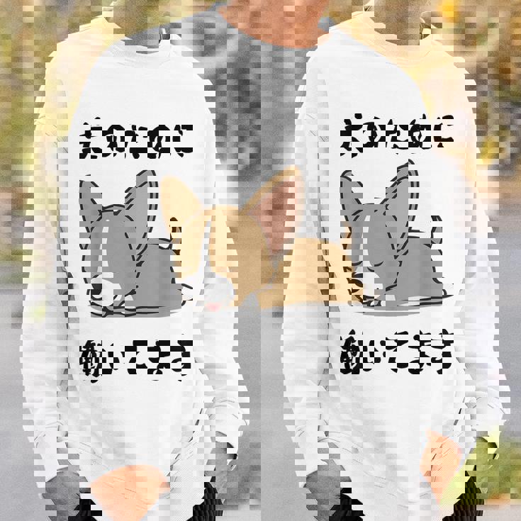 面白いtシャツ チワワ イヌ わんこ メンズ 犬好き グッズ おもしろ 面白い 服 ネタ わんこ スウェットシャツ 彼への贈り物