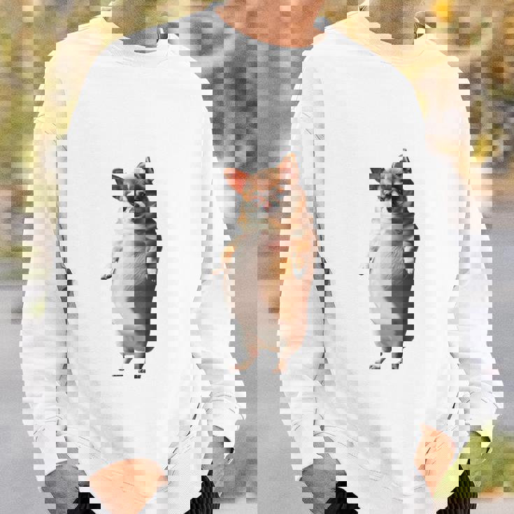 面白いtシャツ チワワ 犬 わがままボディ イヌ わんこ メンズ 犬好き グッズ おもしろ 面白い 服 ネタ 長袖tシャツ スウェットシャツ 彼への贈り物