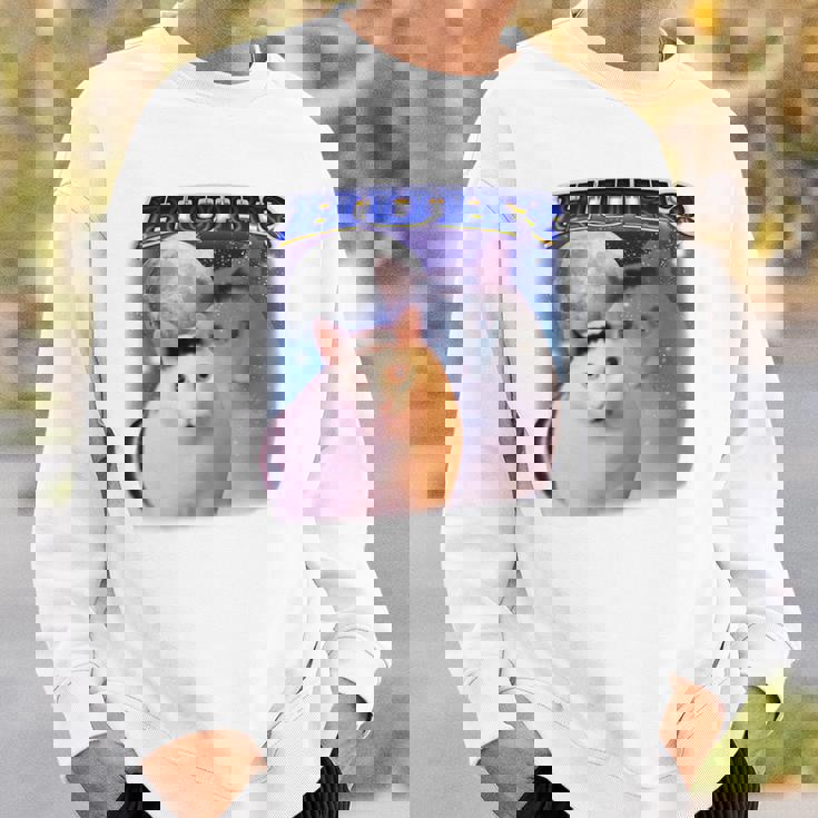 面白いミームハァキャット 長袖tシャツ スウェットシャツ 彼への贈り物