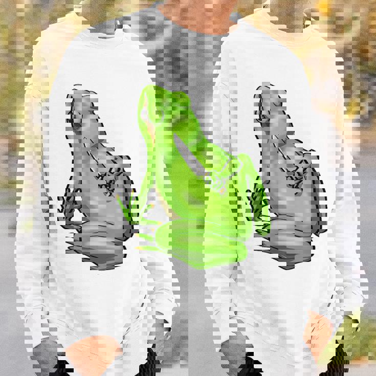 面白い邪悪なカエル サカラスティック 怒っているカエル かわいい 不機嫌な狂気 スウェットシャツ 彼への贈り物