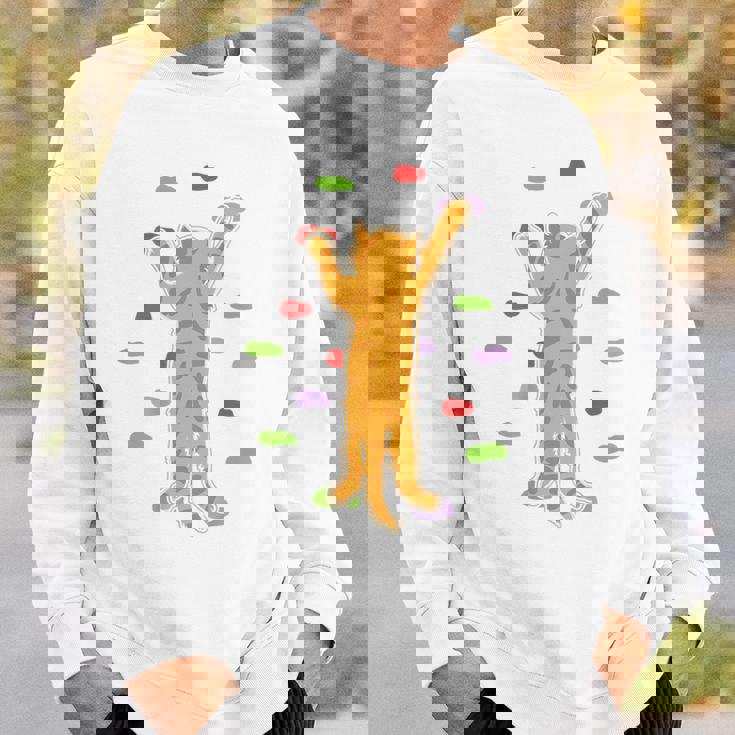 面白くてかわいいボルダーロッククライミングキャット背中にプリント スウェットシャツ 彼への贈り物