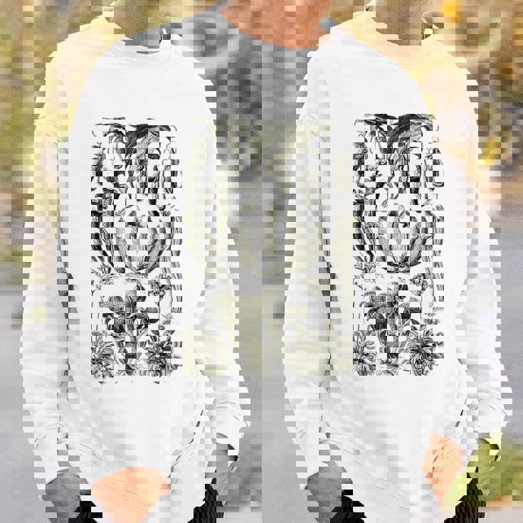 食虫植物 ヴィンテージ サラセニア ボタニカル スウェットシャツ 彼への贈り物