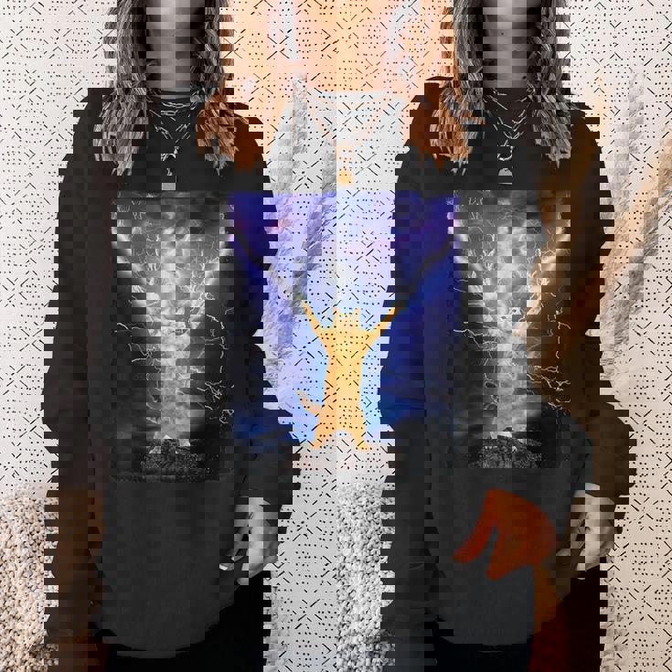 Cat Merch おかしな猫 稲妻 サンダーボルト オン マウンテン スウェットシャツ 彼女への贈り物