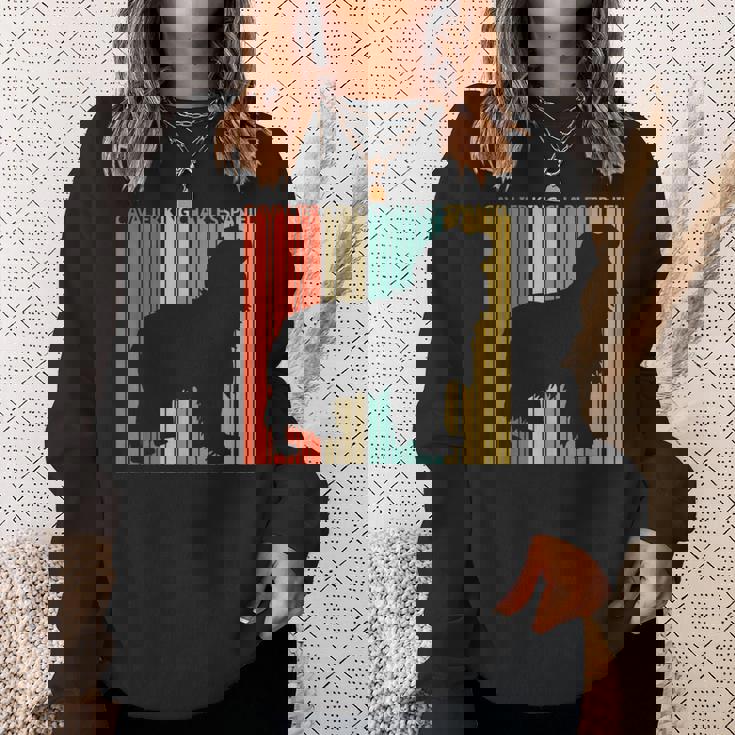 Cavalier King Charlespaniel キャバリア・キング・チャールズ・スパニエル スウェットシャツ 彼女への贈り物