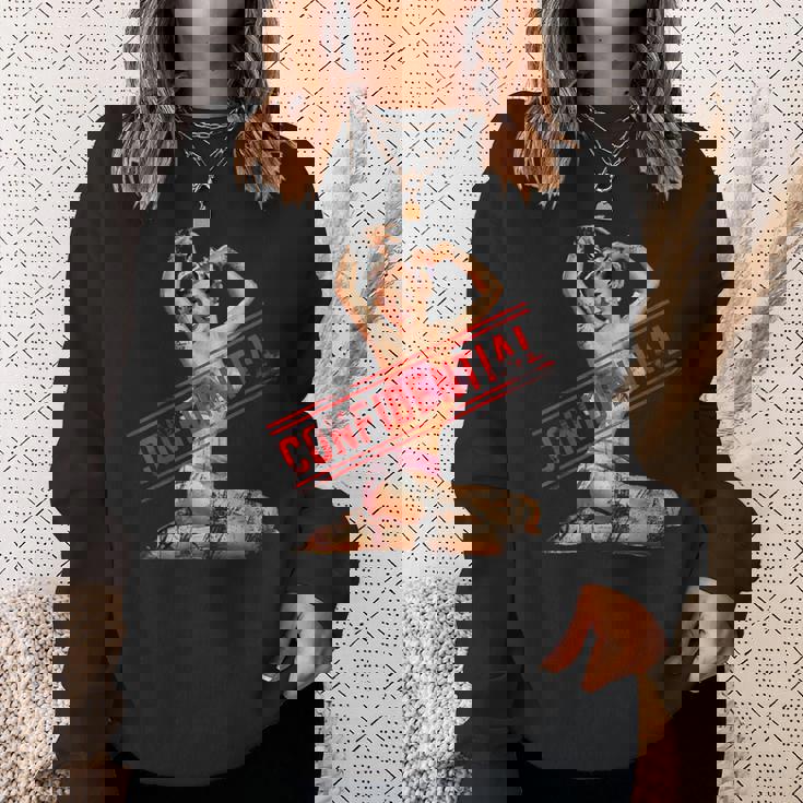 Confidential ピンナップガール スウェットシャツ 彼女への贈り物