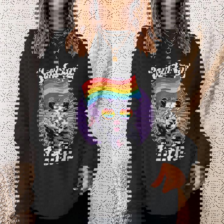 Cute Lgbtq Possum Holding Flag With Sounds Gay Quote Sweatshirt Gifts for Her