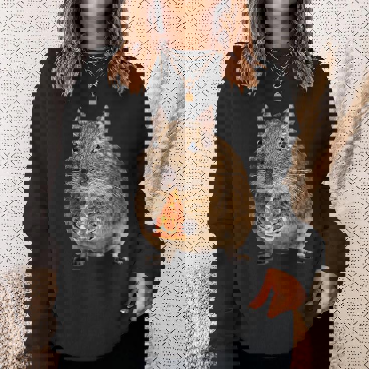 Degu Eating Alice Of Pizza スウェットシャツ 彼女への贈り物