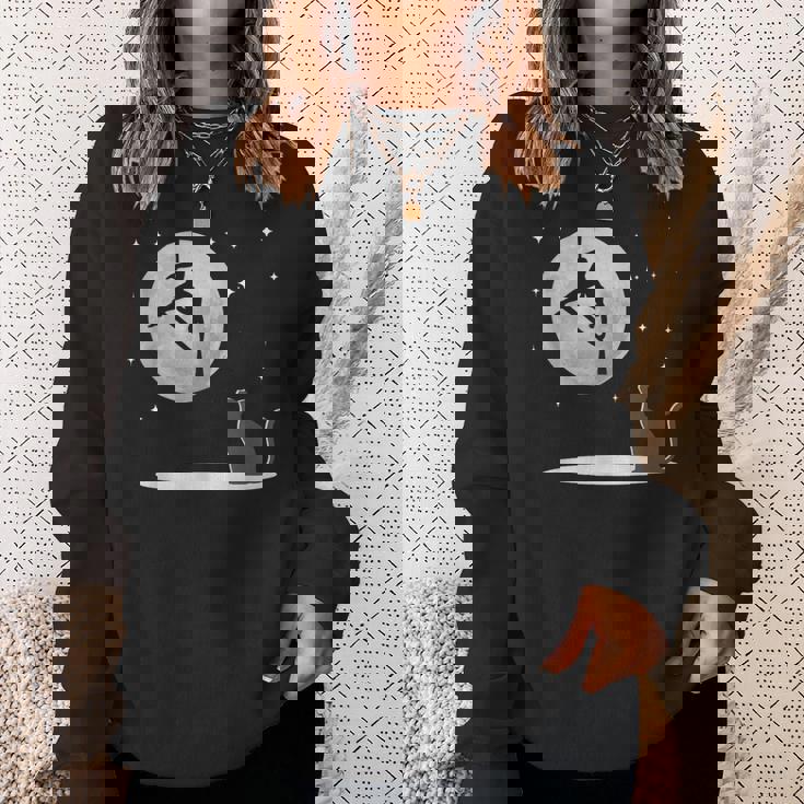 Fly Aerial ヨガハンモックシルク 星と月 猫 猫好き スウェットシャツ 彼女への贈り物