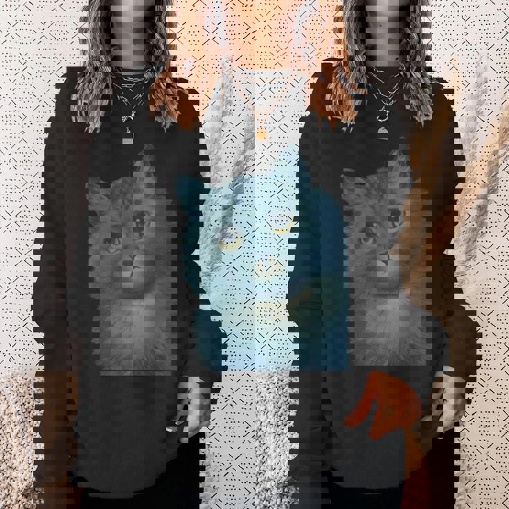 L Wain作 青い猫 スウェットシャツ 彼女への贈り物