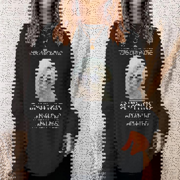 Maltese Puppy Is On My Mind 面白い犬のオーナーデザイン スウェットシャツ 彼女への贈り物