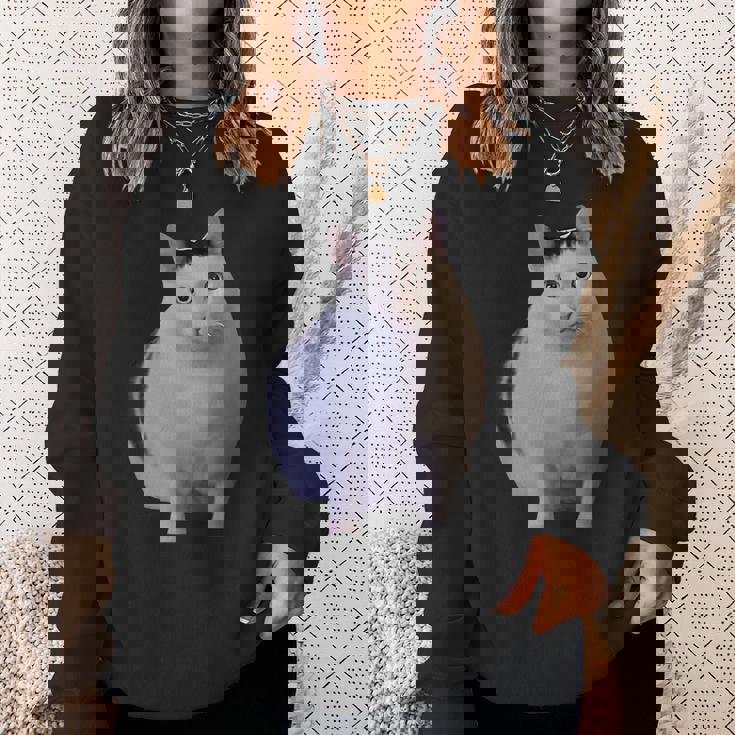 Meme Huh Catミームハァキャット面白い スウェットシャツ 彼女への贈り物