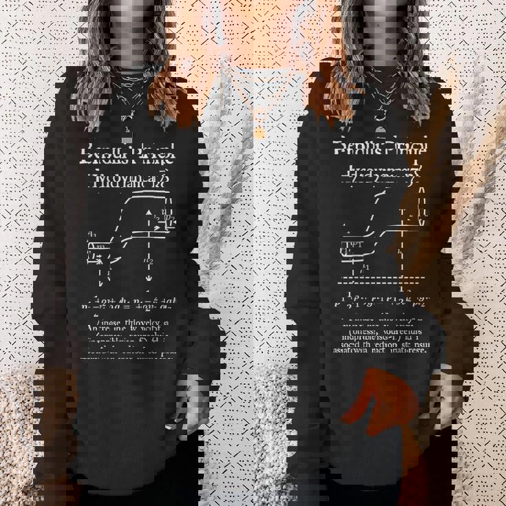 Nerdyintage ベルヌーイの原理物理数学教師 スウェットシャツ 彼女への贈り物