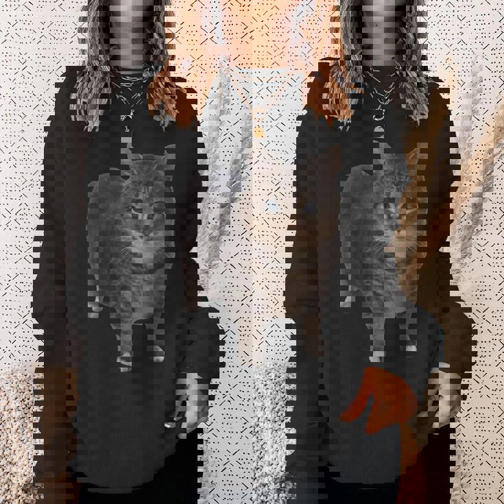 Oiia Oiia 猫 面白い 回転する猫 ミーム スウェットシャツ 彼女への贈り物