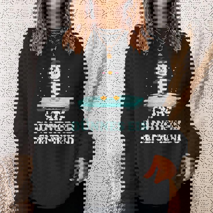 Penguin Penguin Costume Nightdressleep Sweatshirt Geschenke für Sie