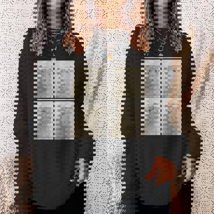 Photobooth おもしろ動物ネズミヴィンテージ自撮り写真撮影 スウェットシャツ 彼女への贈り物