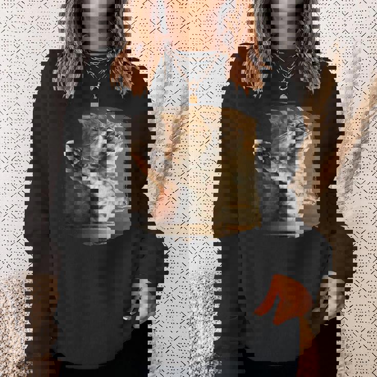 TitaniCムービーにインスパイアされた面白い猫好きのミーム。 スウェットシャツ 彼女への贈り物