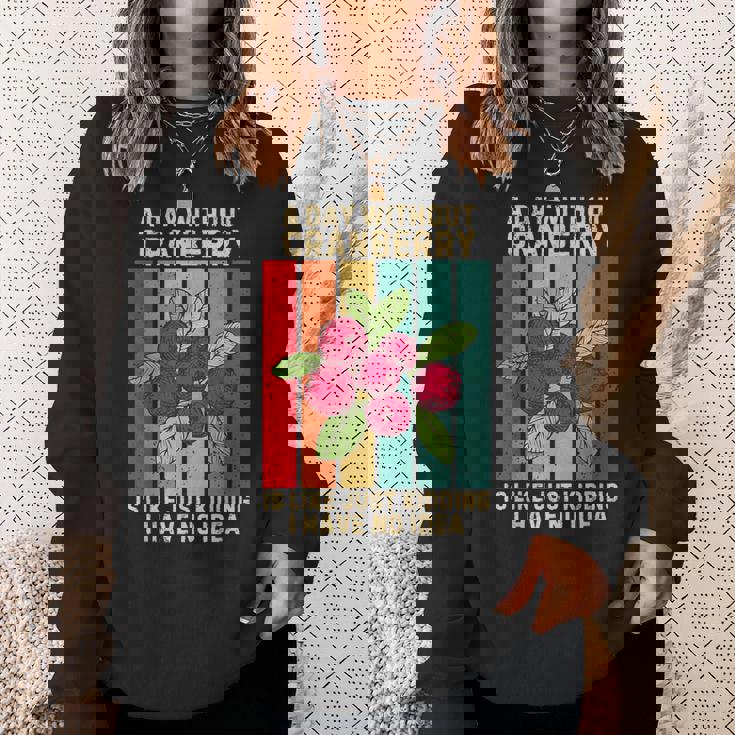 Vintage A Day Without Cranberry I Have No Idea クランベリー スウェットシャツ 彼女への贈り物