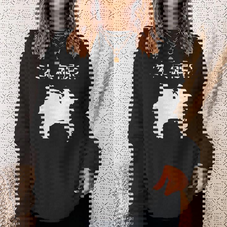 【これ、何県？】神奈川県 都道府県 クイズ 小学生 遊び心 パズル 地図 シルエット 地理 先生 おもしろ 面白い ネタ スウェットシャツ 彼女への贈り物