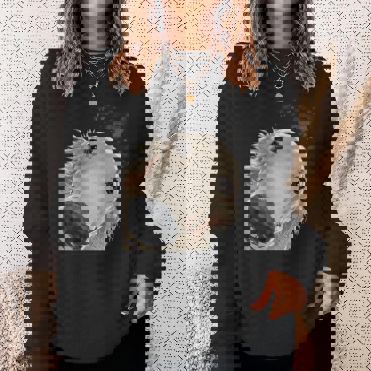 おさるの犬 バルソイ スウェットシャツ 彼女への贈り物