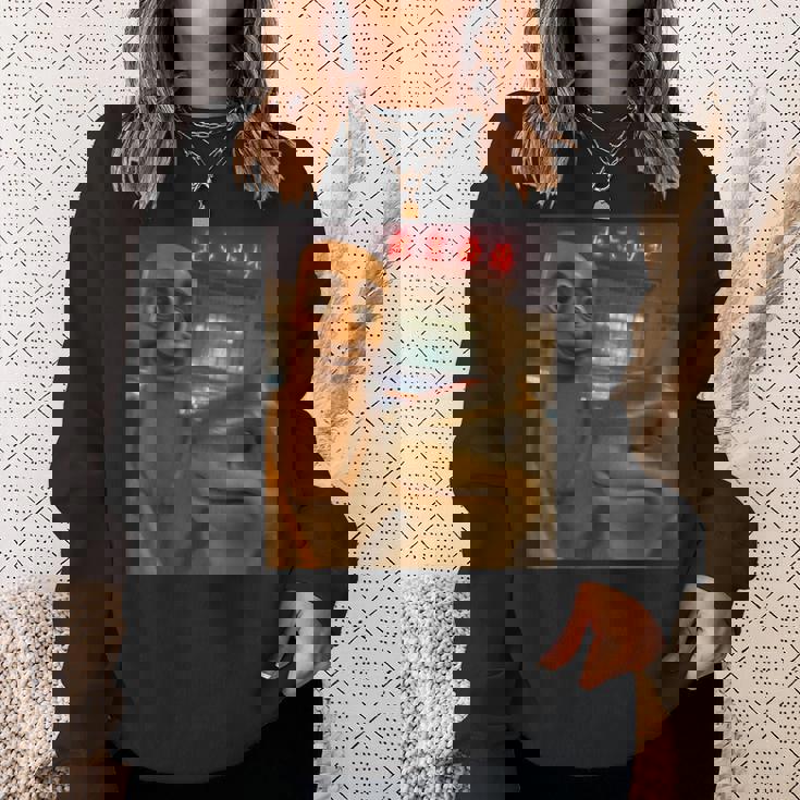 おもしろい Tung Tung Tungahur Tralero Tralalaelfie Brainrot スウェットシャツ 彼女への贈り物