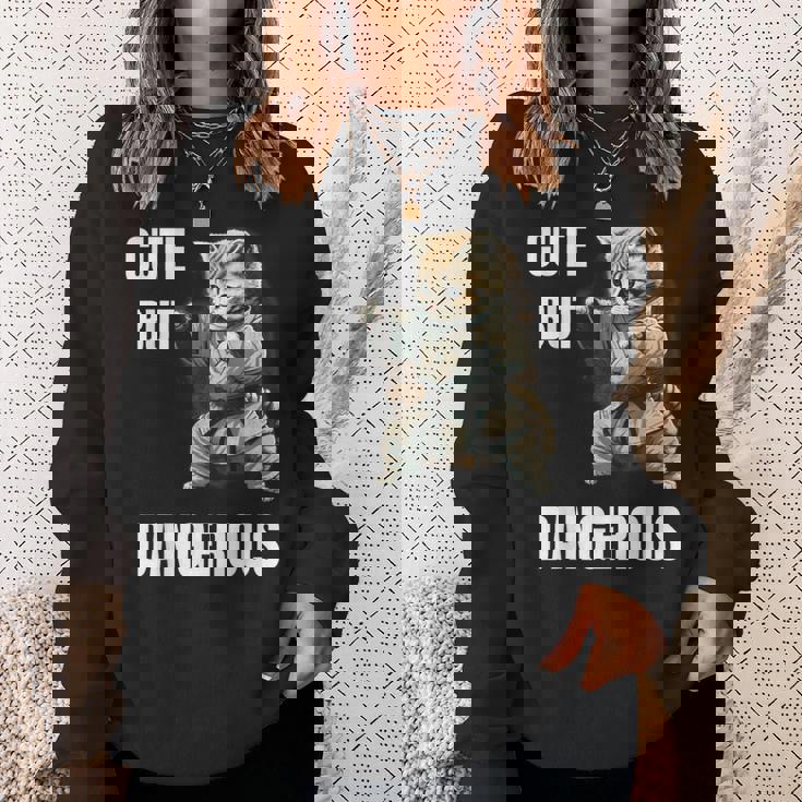 かわいいけど危険な空手 面白い テコンドー 猫 格闘技 スウェットシャツ 彼女への贈り物