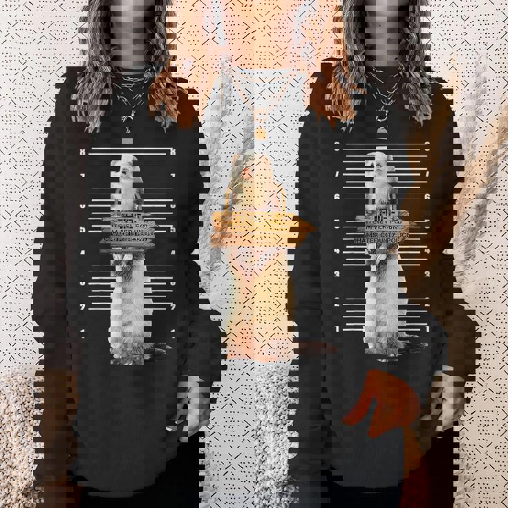 かわいいフェレット泥棒 面白い動物 スウェットシャツ 彼女への贈り物