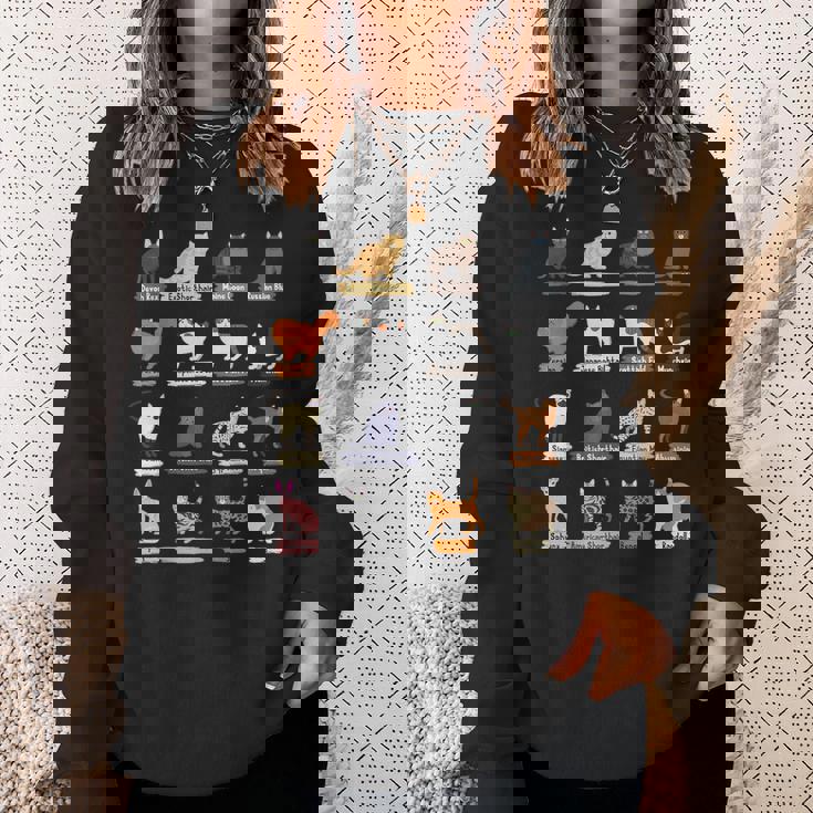 かわいい猫の種類 スウェットシャツ 彼女への贈り物