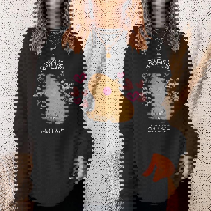 げっ歯類 面白いカピバラ カピバラアート メンズ レディース キッズ スウェットシャツ 彼女への贈り物