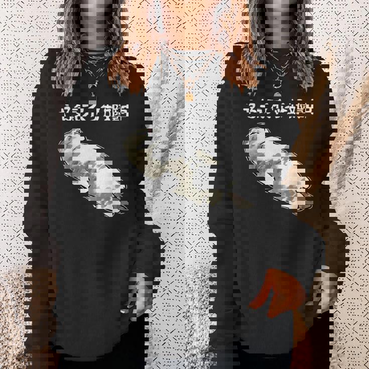 やる気スイッチ故障中 猫 にゃにもしたくにゃ 何もしたくない猫 おもしろ 可愛い ねこ ネコ 猫 ネコ 猫 柄 かわいい スウェットシャツ 彼女への贈り物