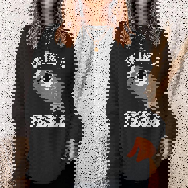 アイム・ジャスト・ア・ペブル・ダンディーズ・ワールド スウェットシャツ 彼女への贈り物