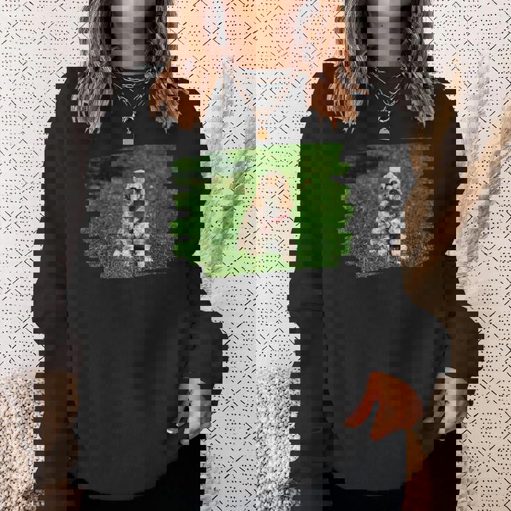 アメリカンコッカースパニエル 子犬 犬好き スウェットシャツ 彼女への贈り物