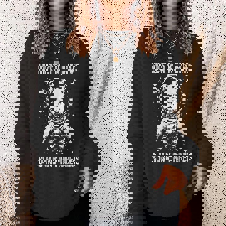 アルパカ お父さん ママ スペース ヒューストン問題 アルパカ スウェットシャツ 彼女への贈り物