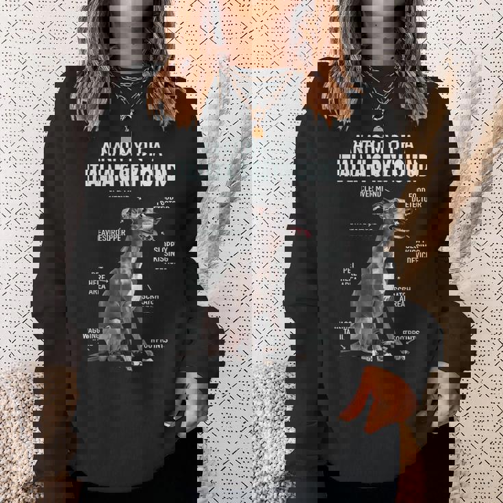 イタリアングレイハウンドの解剖学 スウェットシャツ 彼女への贈り物