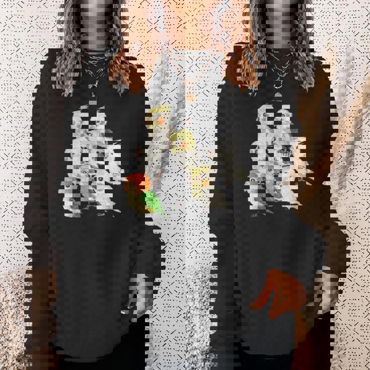 インコ かわいい 小鳥 ペット おもしろ 動物 イラスト スウェットシャツ 彼女への贈り物