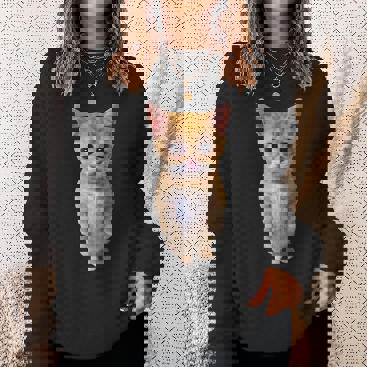 エルガト ミーム 悲しい泣き猫 マンチキン キティ ミーム トレンディ スウェットシャツ 彼女への贈り物