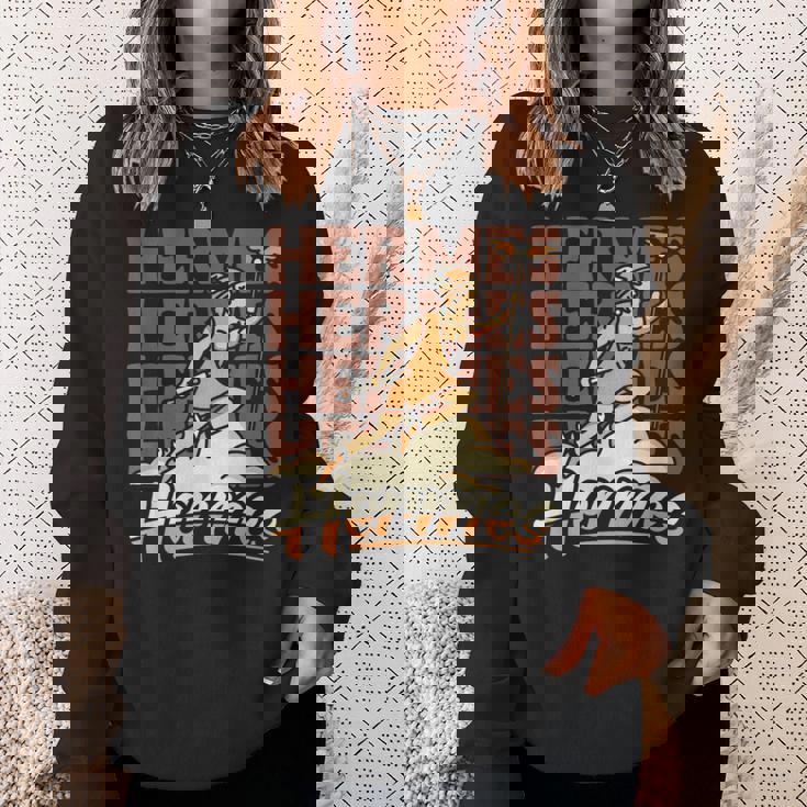 エルメス 素早いギリシャの商業とメッセージの神 スウェットシャツ 彼女への贈り物