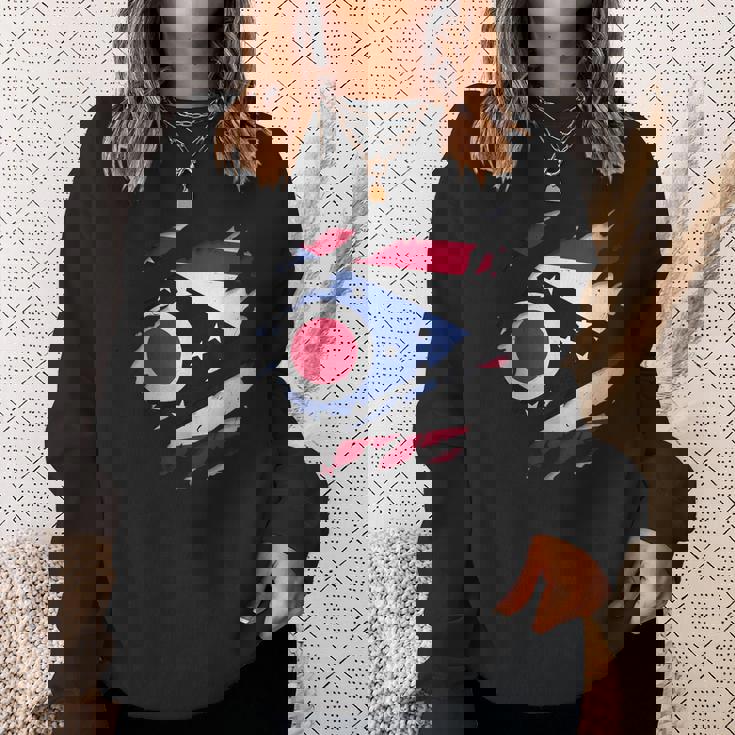 オハイオ州オハイオ州立大学 破れ加工 オハイオ州旗 スウェットシャツ 彼女への贈り物