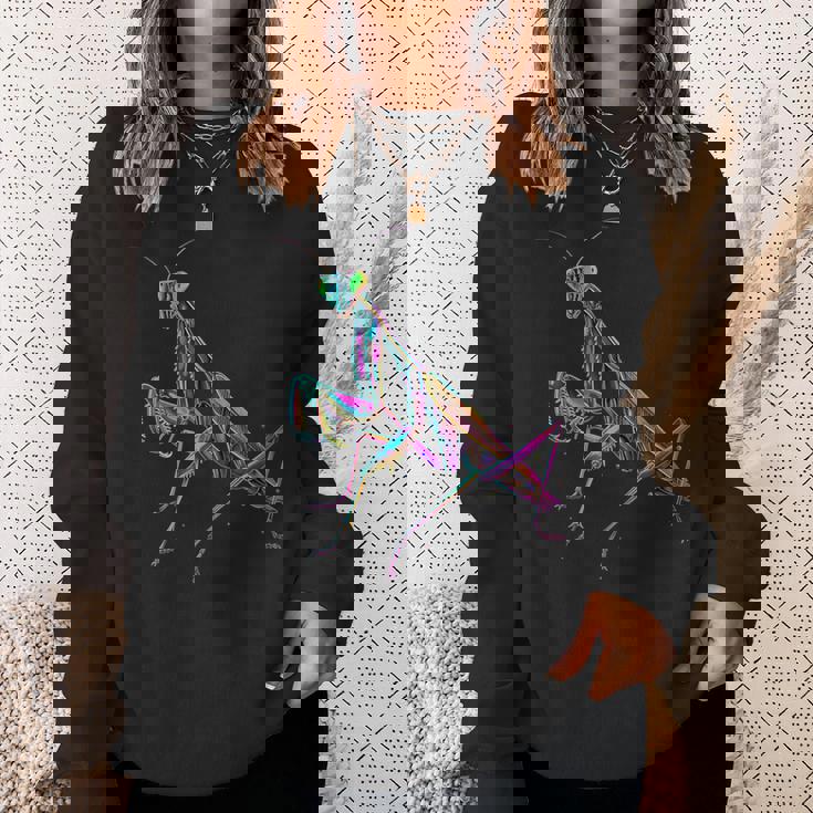 カマキリ カラフル 虫 昆虫 昆虫学 昆虫学者 スウェットシャツ 彼女への贈り物