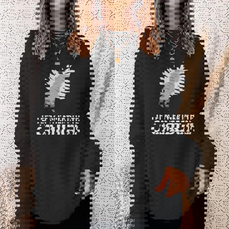 カンブリア紀の面白いアノマロカリス・パレオに心を残した スウェットシャツ 彼女への贈り物