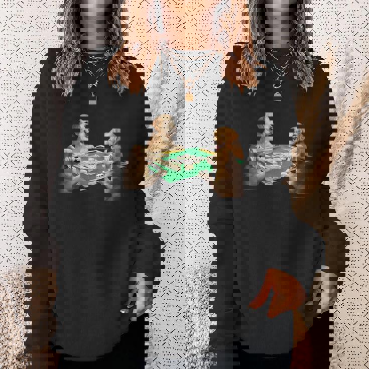 ゴールデンレトリバー イヌ 麻雀 面白いtシャツ 犬 メンズ おもしろ 面白い 服 おもしろグッズ ネタ スウェットシャツ 彼女への贈り物