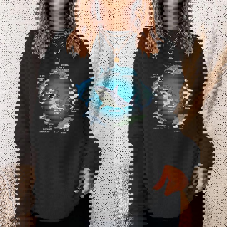 サメ6種 サメタイプ サメ 海の生き物 メガロドン サメ スウェットシャツ 彼女への贈り物