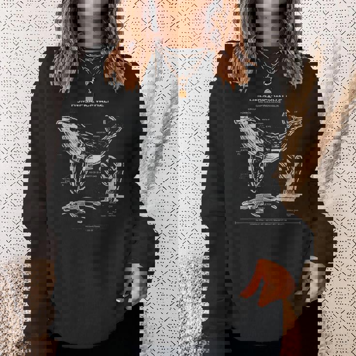 ザトウクジラの解剖学アパレルクジラ航海 スウェットシャツ 彼女への贈り物