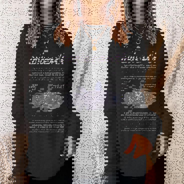 シーラカンス。 スウェットシャツ 彼女への贈り物