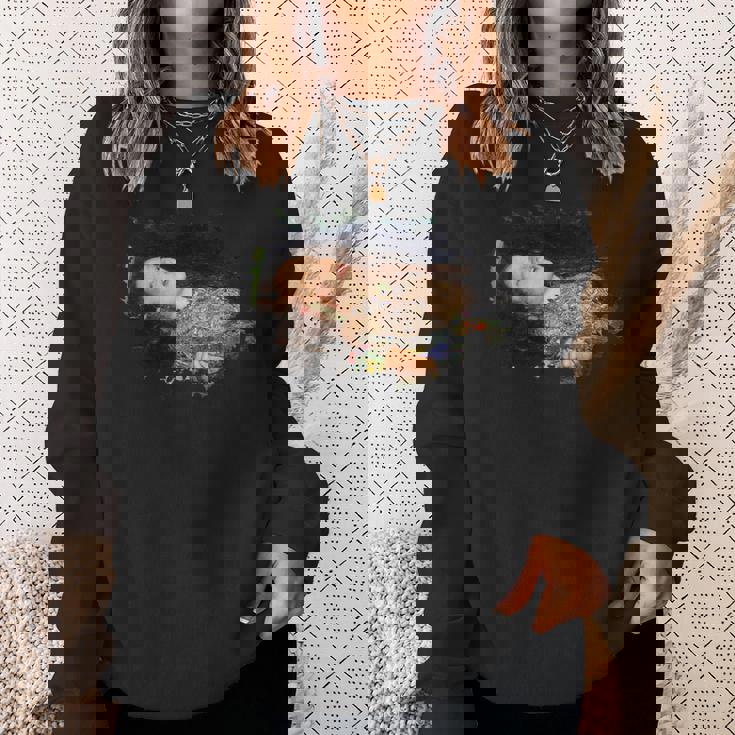 ジョン・エバレット・ミレイスのオフィーリア・グランジ スウェットシャツ 彼女への贈り物