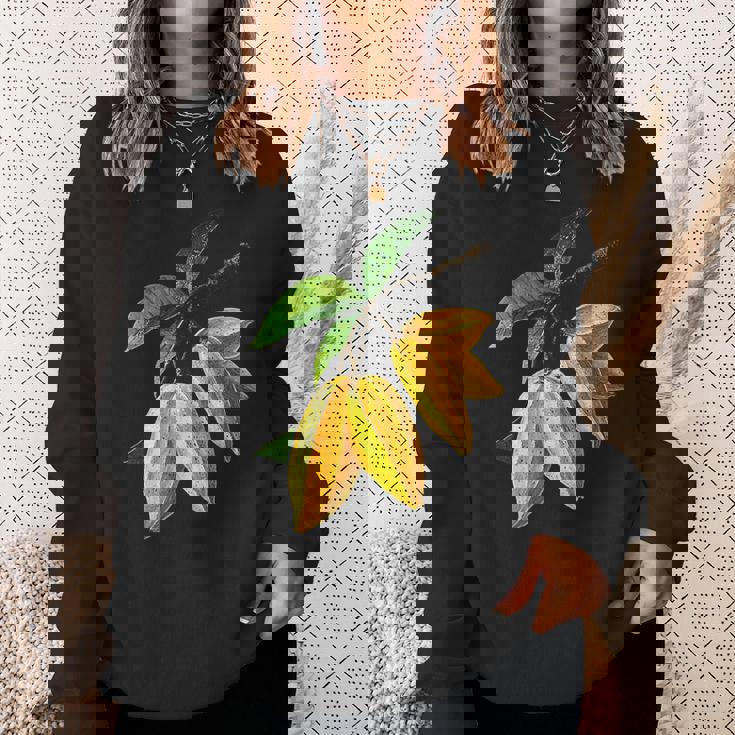 スターフルーツ フルーツ モチーフ イラスト スターフルーツ スウェットシャツ 彼女への贈り物